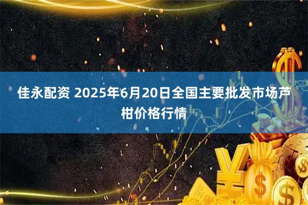 佳永配资 2025年6月20日全国主要批发市场芦柑价格行情