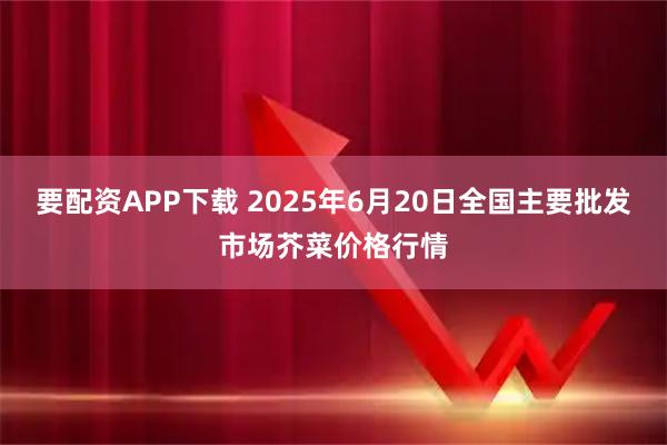要配资APP下载 2025年6月20日全国主要批发市场芥菜价格行情