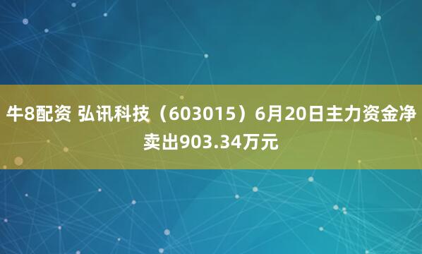 牛8配资 弘讯科技（603015）6月20日主力资金净卖出903.34万元