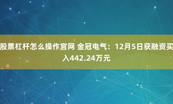 股票杠杆怎么操作官网 金冠电气:12月5日获融资买入442.24万元